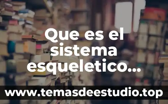 Que es el concepto de sistema 8 Que es el sistema esqueletico axial