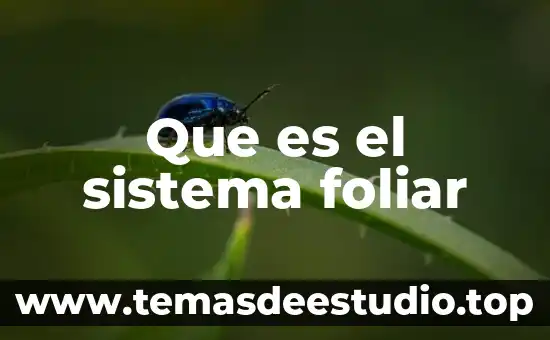 Que es el sistema solar y que lo compone 8 Que es el sistema foliar