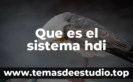 Que es el sistema solar y que lo compone 3 Que es el sistema hdi