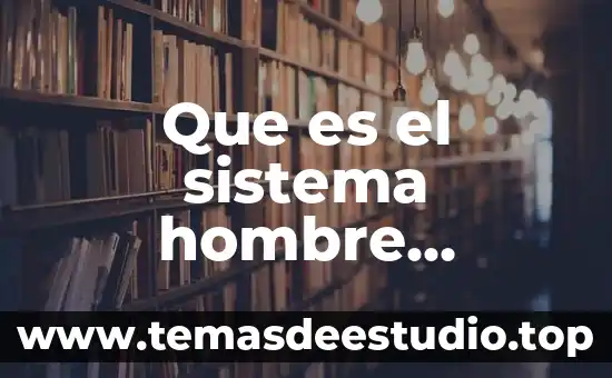 Que es el sistema hombre maquina ambiente