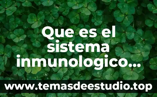 Que es el sistema inmunologico del ser humano