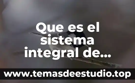 Qué es la tesis integral integradora 8 Que es el sistema integral de gestión en hidalgo