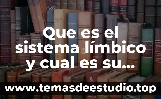 Que es un historiador y cual es su función 4 Que es el sistema límbico y cual es su funcion