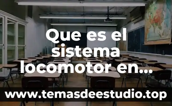 Los animales saben que es la muerte 3 Que es el sistema locomotor en los animales