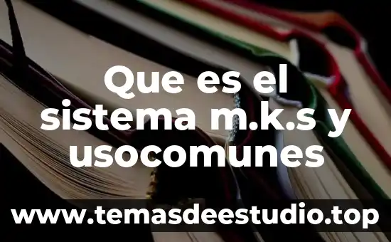Que es el número de vat en dhgate 7 Que es el sistema m.k.s y usocomunes