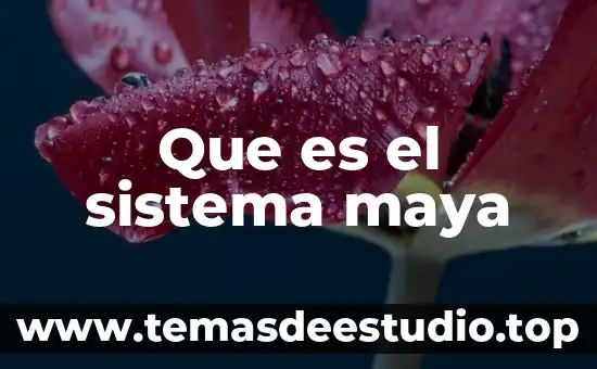 Cultura maya el hachi vink que es 7 Que es el sistema maya