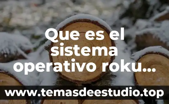 Qué es el sistema Roku 8 Que es el sistema operativo roku tv