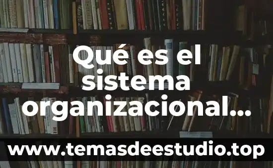 Que es el significado en la psicologia organizacional 5 Qué es el sistema organizacional informático