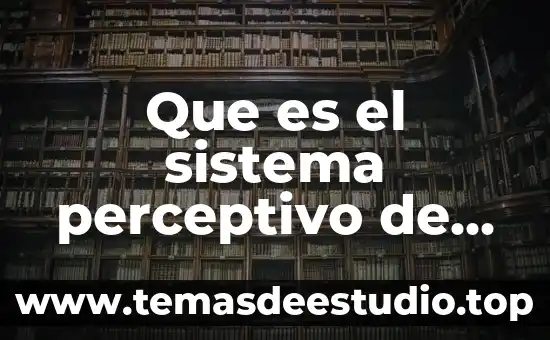 Proceso caritas de jean watson por que es importante 4 Que es el sistema perceptivo de watson