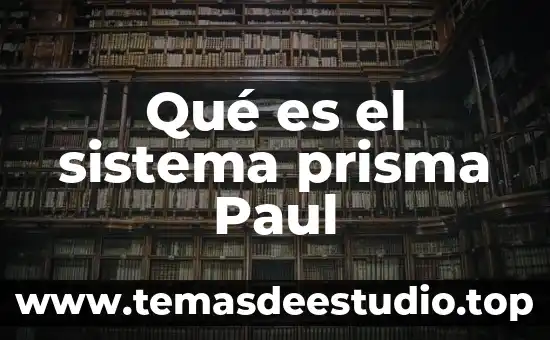 Qué es la libertad según Jean Paul Sartre 5 Qué es el sistema prisma Paul