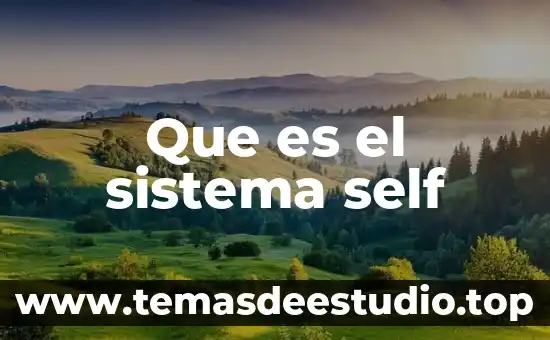 Que es el sistema self