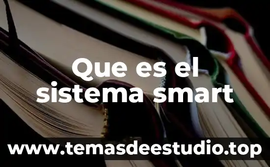 Que es sistema project 4 Que es el sistema smart