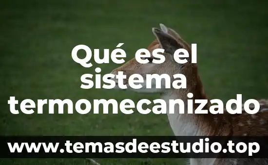 Qué es el sistema monetario 7 Qué es el sistema termomecanizado