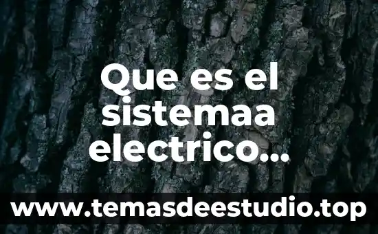 Qué es una empresa nacional y extranjera 7 Que es el sistemaa electrico nacional