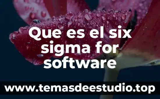 Caso que es Six Sigma 3 Que es el six sigma for software
