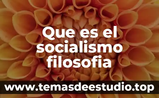 Que es el socialismo filosofia