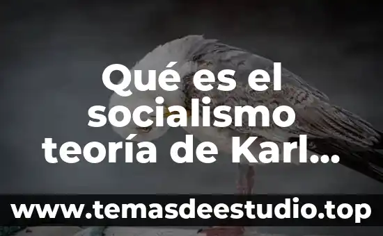 Qué es el socialismo teoría de Karl Marx