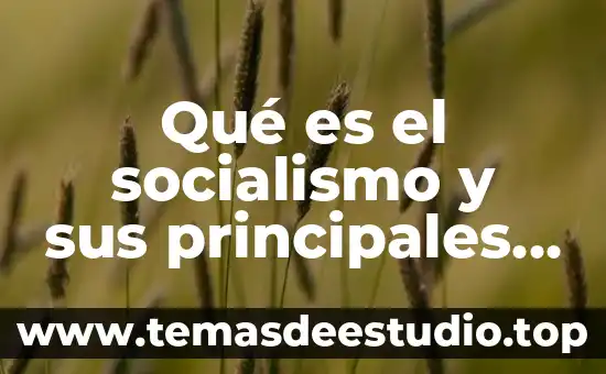 Que es un cuento y sus elementos principales 3 Qué es el socialismo y sus principales representantes