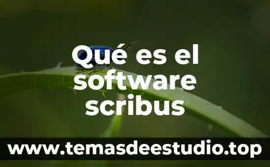 Qué es SDK Software Development Kit 5 Qué es el software scribus