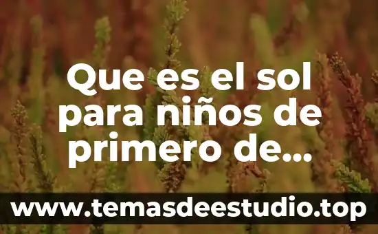 Que es paleozoica para niños 4 Que es el sol para niños de primero de primaria