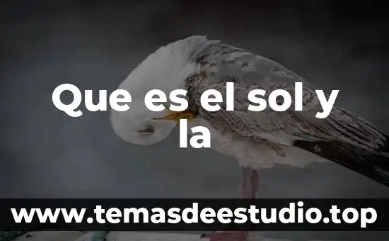 Que es un plan de estudio por areas de conocimiento 5 Que es el sol y la