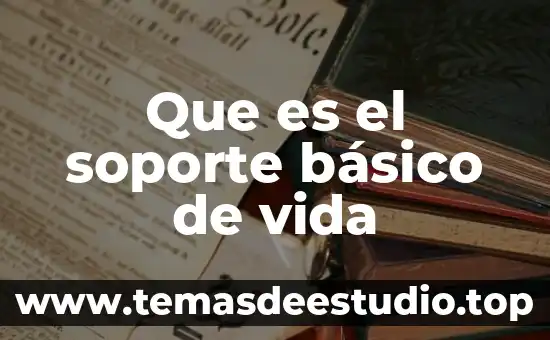 Que es el soporte básico de vida