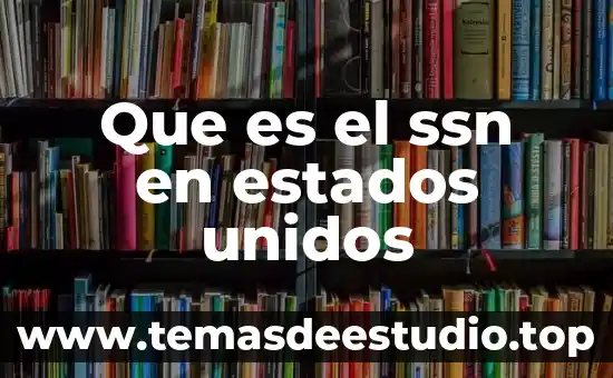Qué es y cómo funcionan los afores 4 Que es el ssn en estados unidos