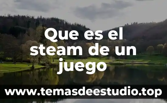 Que es un juego de pc 8 Que es el steam de un juego