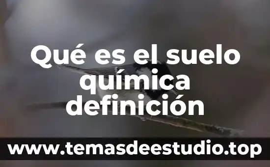Qué es el suelo química definición