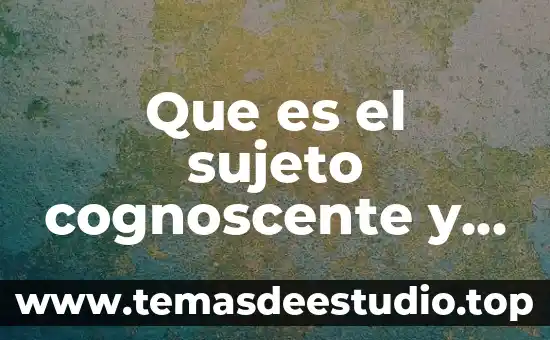 Que es sujeto concepto 4 Que es el sujeto cognoscente y el objeto cognoscible
