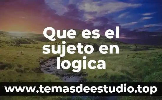 Que es sujeto concepto 3 Que es el sujeto en logica