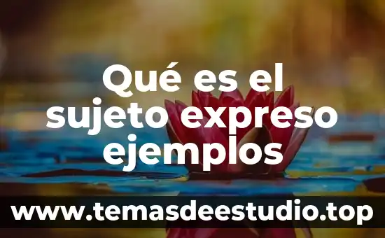 Qué es el sujeto expreso ejemplos