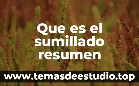 Que es el sumillado resumen