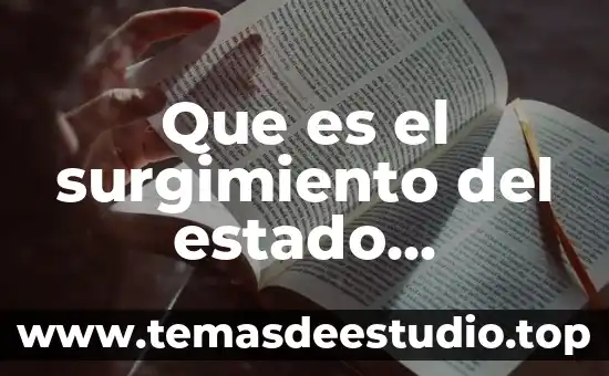 Estado tipo no integro que es 8 Que es el surgimiento del estado educador