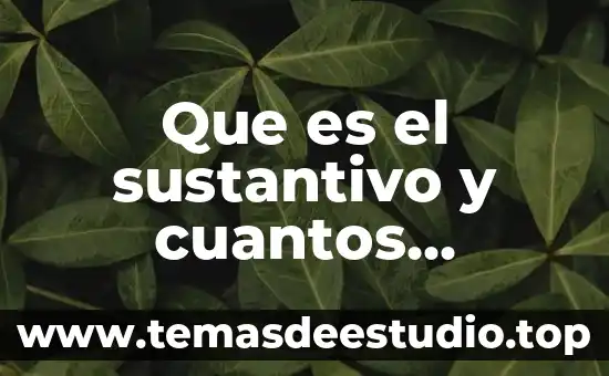 Que es la diabetes cuantos tipos hay medidas de prevención 6 Que es el sustantivo y cuantos tiempos hay