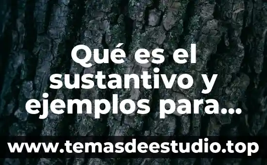 Qué es el sustantivo y ejemplos para niños de primaria