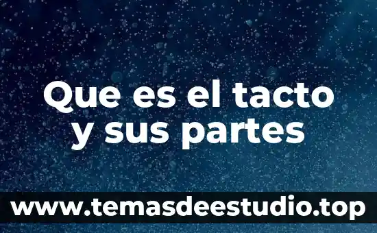 Que es un plan de estudio por areas de conocimiento 3 Que es el tacto y sus partes
