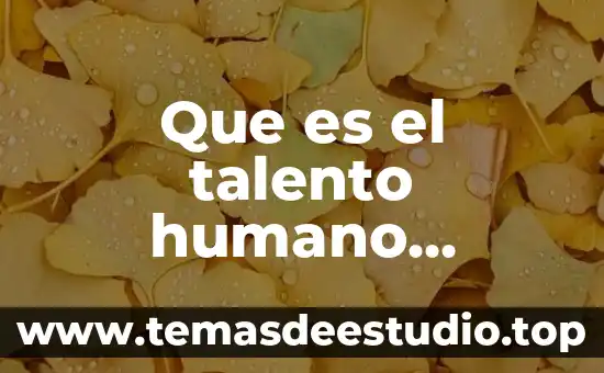 Que es el arte humano 5 Que es el talento humano ensayo