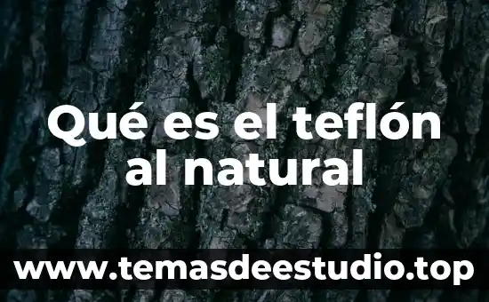 Que es significa natural y motivador 4 Qué es el teflón al natural