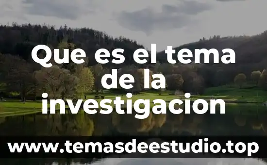 Que es posicion del articulista en un tema 6 Que es el tema de la investigacion