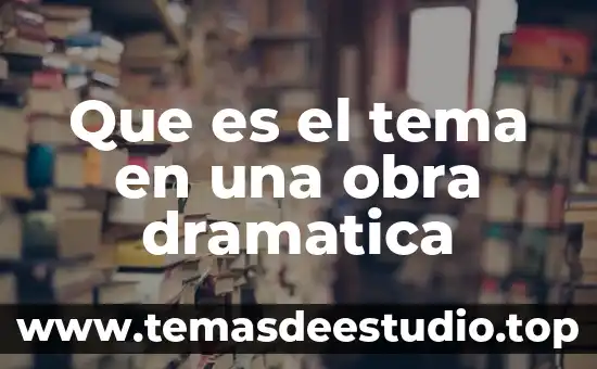 Que es posicion del articulista en un tema 5 Que es el tema en una obra dramatica