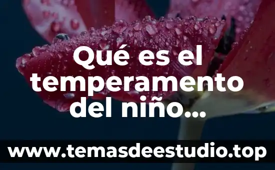 Qué es el temperamento del niño concepto