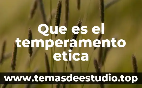 Que es la escuela y la etica 4 Que es el temperamento etica