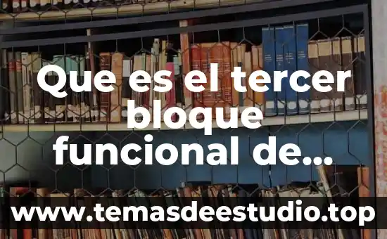 Qué es un efecto de bloque 3 Que es el tercer bloque funcional de luria