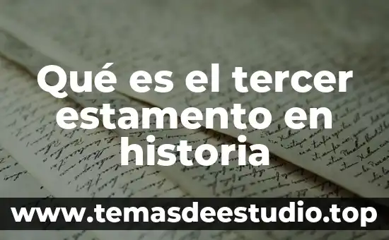 Que es el nylon historia 6 Qué es el tercer estamento en historia