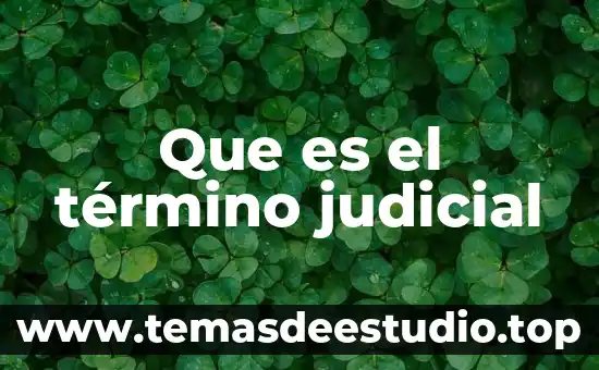 Que es un mecanismo judicial 7 Que es el término judicial
