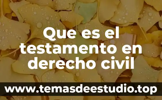 Que es el testamento en derecho civil