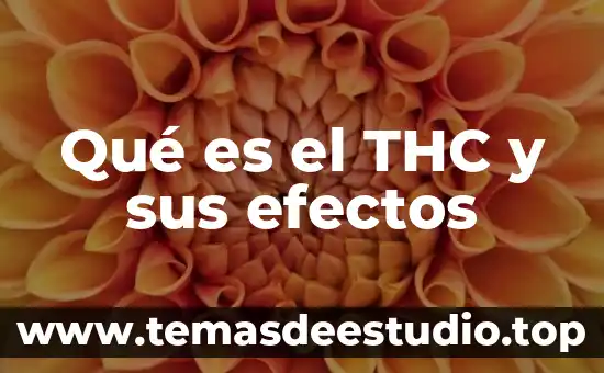 Qué es un elemento de maniobra 4 Qué es el THC y sus efectos