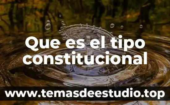Que es derecho constitucional particular 5 Que es el tipo constitucional