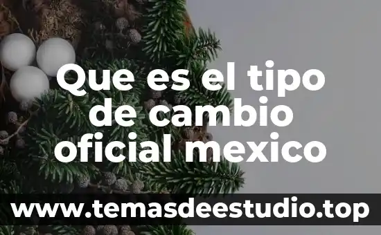 Partido oficial que es historia de México 3 Que es el tipo de cambio oficial mexico